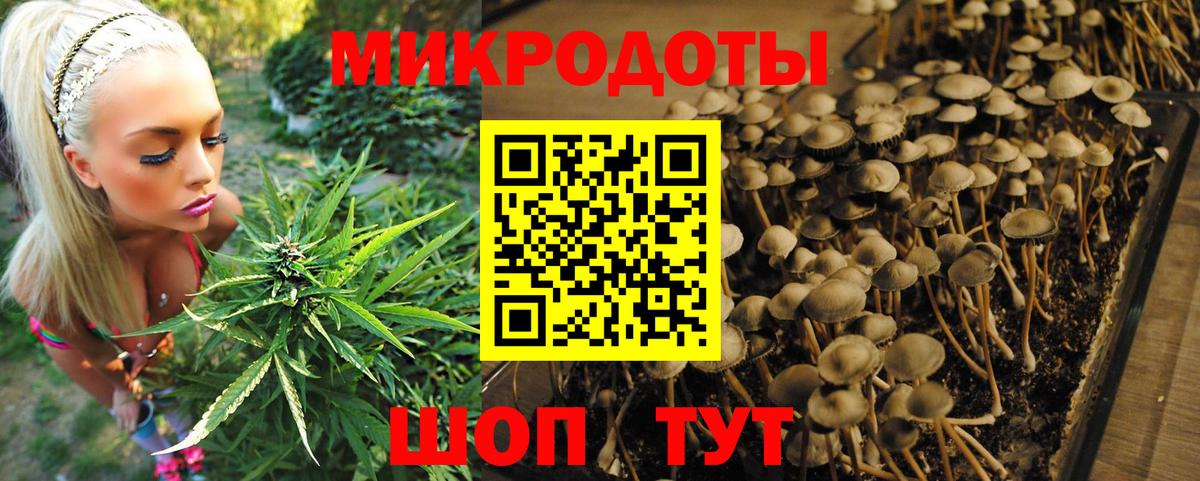 Галлюциногенные грибы мицелий  Вход с VPN  Брянск  Псилоцибиновые грибы ЛСД 