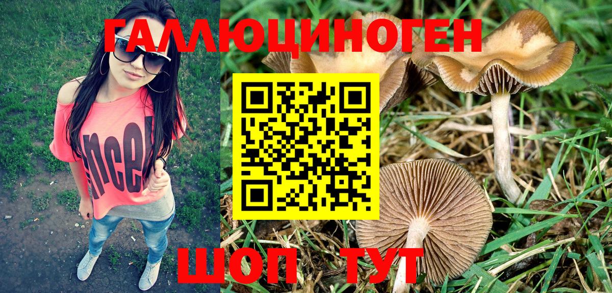 Галлюциногенные грибы мухоморы Брянск
